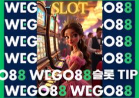-WEGO88- 위고88 슬롯 Tip