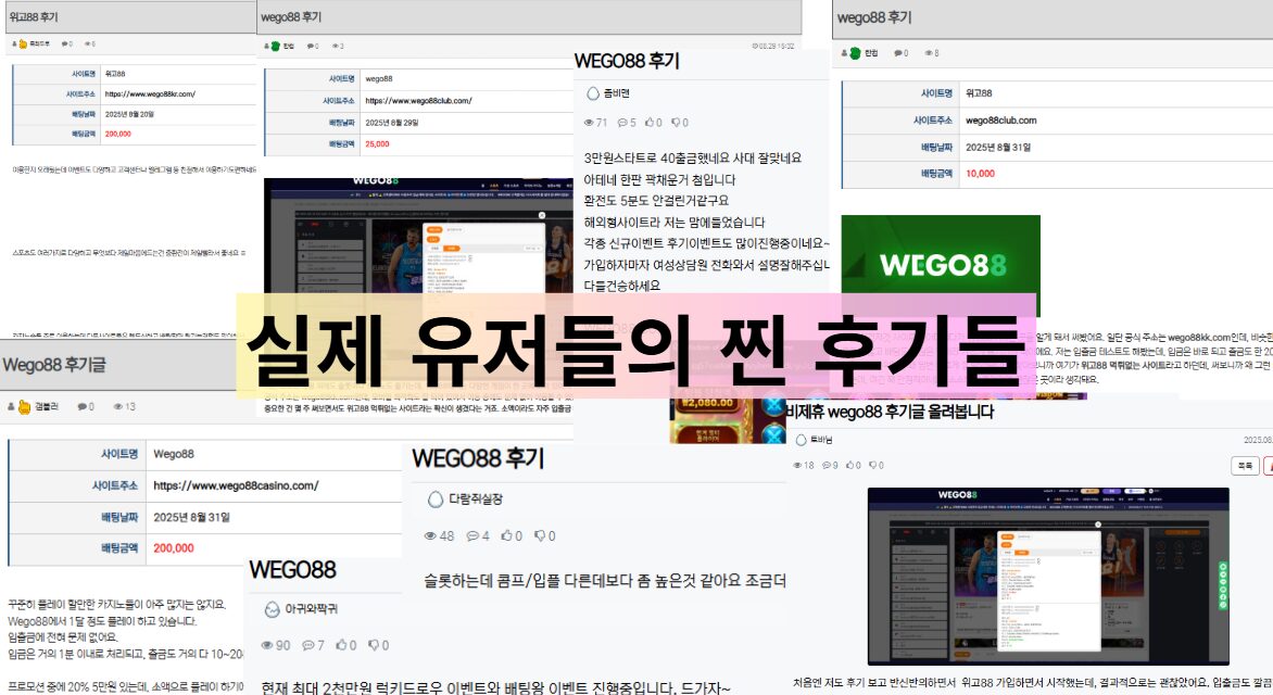 WEGO88 위고88 바카라추천
